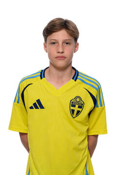 Julius Wallmark
