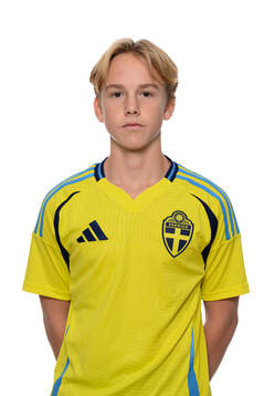 Vinve Agnemyr