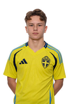 Viggo Kusmin Wass
