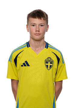 Liam Vikberg Lindgren
