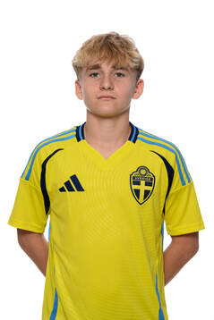 Leo Wahlgren