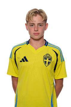 Edvin Trygg