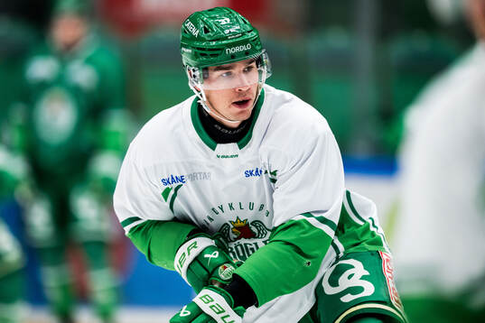 Albin Sundsvik
