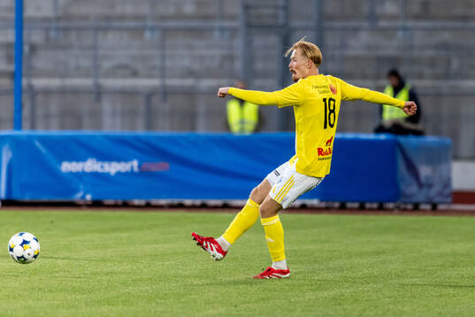 Falkenbergs Linus Borgström