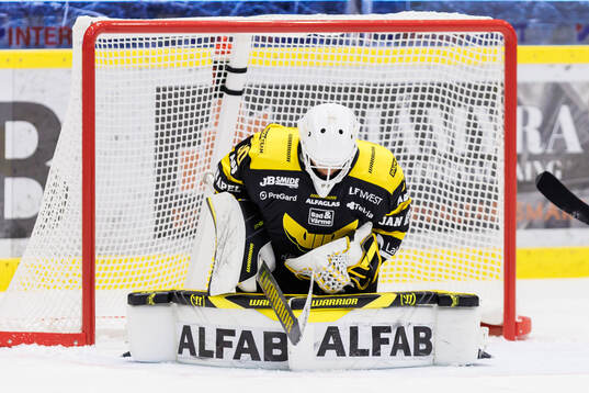 Västerås målvakt Benedikt Oschgan