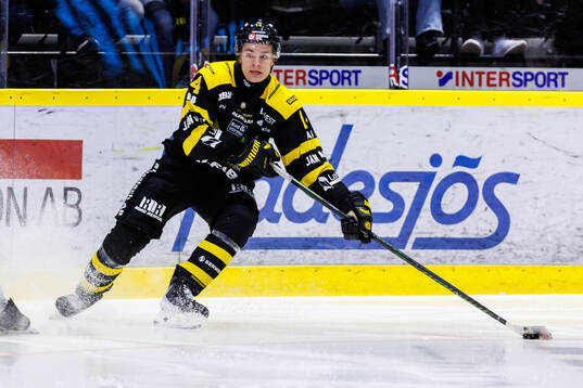 Västerås Max Karlsson