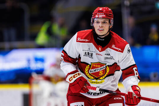 Almtunas Ludvig Georgsson