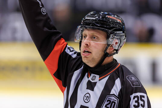 Domare Joakim Flink