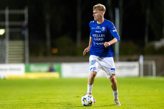 Trelleborgs Karl Wendt