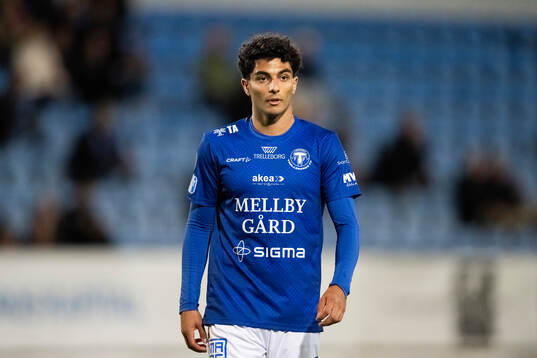 Trelleborgs Angelo Nehmé