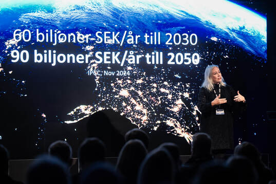 Helena Mueller, Grant Thornton