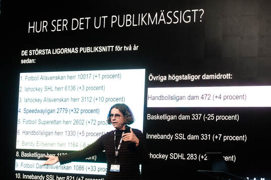 Karin Torneklint