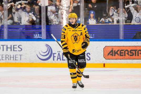 Skellefteås Rickard Hugg deppar