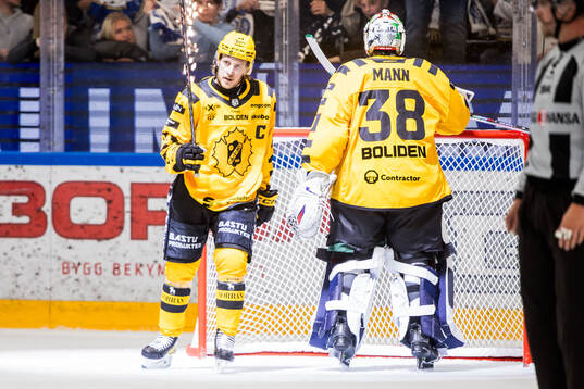Skellefteås Jonathan Pudas deppar