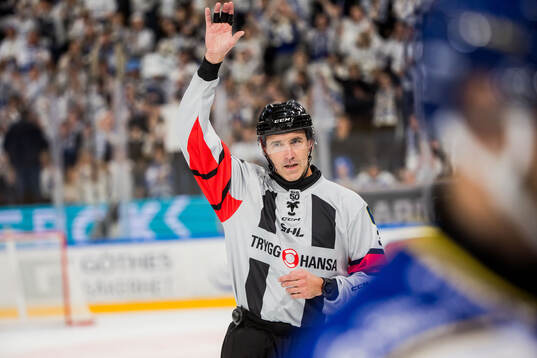 Domare Oscar Niklasson