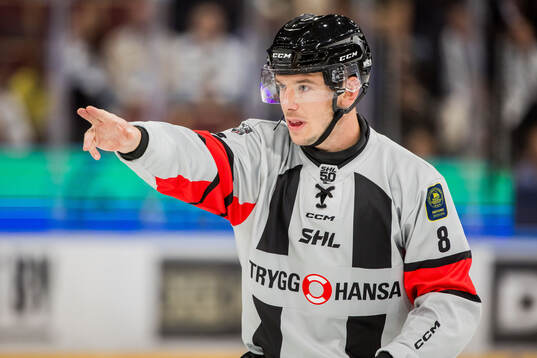 Domare Oscar Niklasson