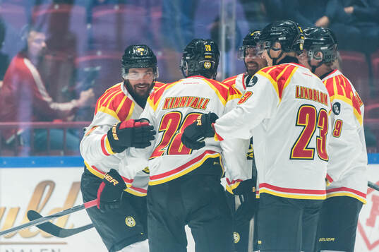 Brynäs Michal Kempny jublar