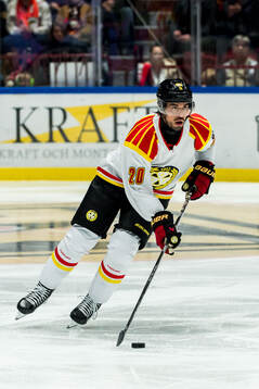 Brynäs Tyler Vesel