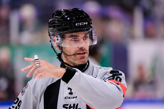 domare Richard Magnusson