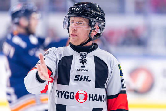Domare Mikael Holm