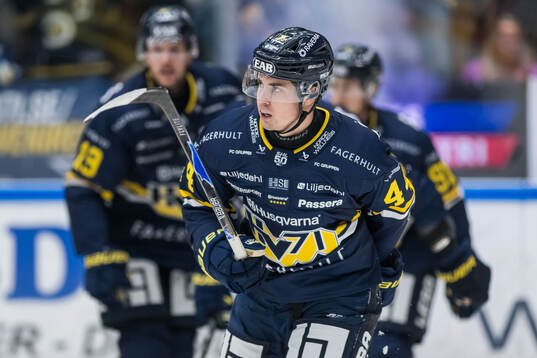 HV71s Hugo Fransson jublar