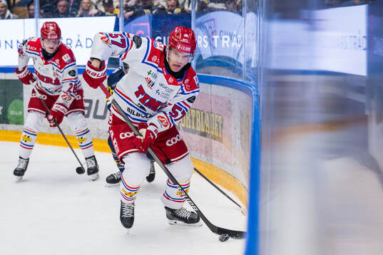 Timrås Anton Wedin