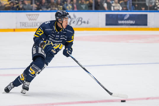 HV71s Jonathan Ang