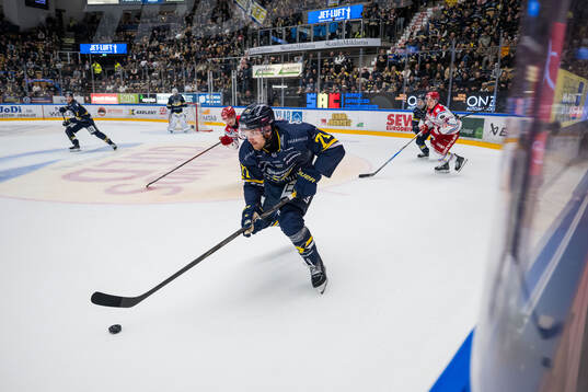 HV71s William Ignberg Nilsson