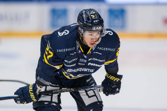 Timrås Ludvig Levinsson