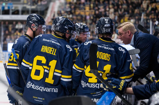 HV71s tränare Anton Blomqvist