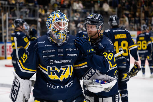 HV71s målvakt Lassi Lehtinen och Olle Alsing deppar