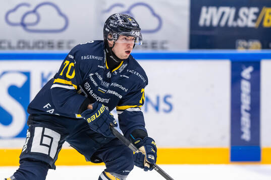HV71s Lukas Rousek