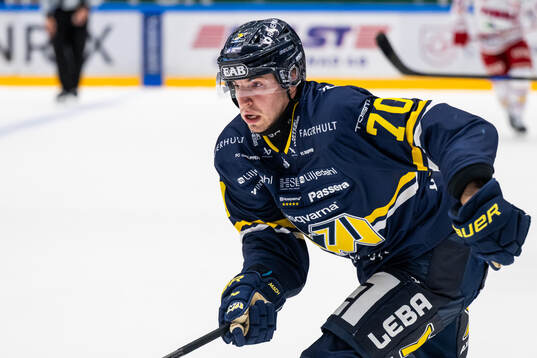 HV71s Lukas Rousek