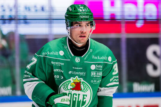Rögles Albin Sundsvik