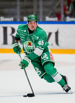 Rögles Gregor Biber
