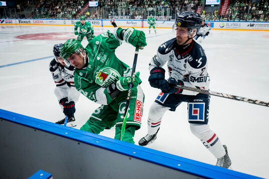 Rögles Lubos Horky och Linköpings Rasmus Rissanen