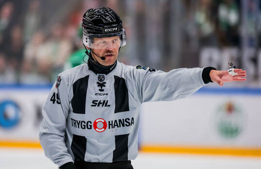Linjedomare Ludvig Lundgren