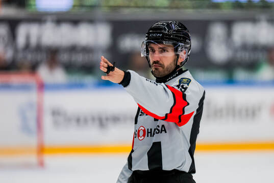 Domare Mattias Enroth