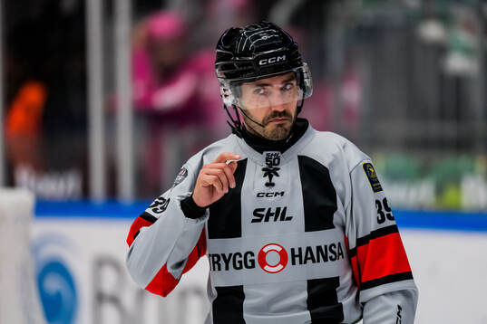 Domare Mattias Enroth