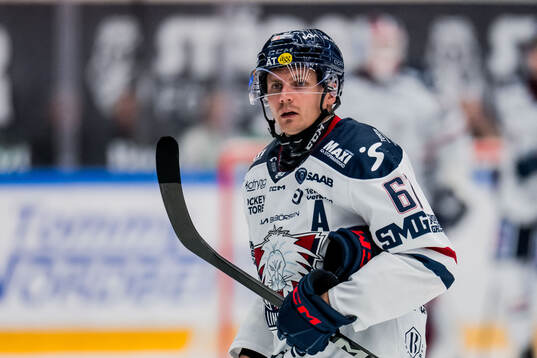 Linköpings Markus Ljungh
