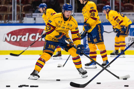 Djurgårdens David Blomgren