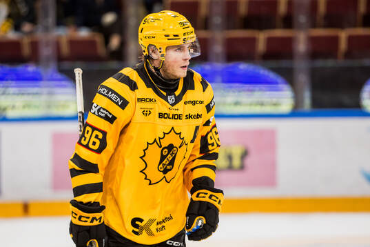 Under ishockeymatchen i SHL mellan Leksand och Skellefteå