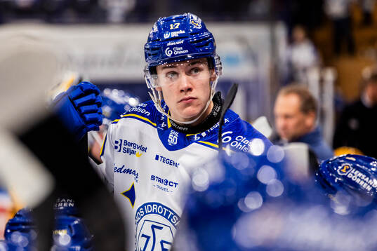 Leksands Dennis Altörn