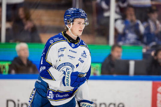 Leksands Tinus Luc Koblar