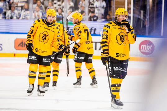 Skellefteås Rickard Hugg deppar