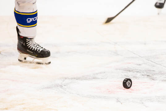puck