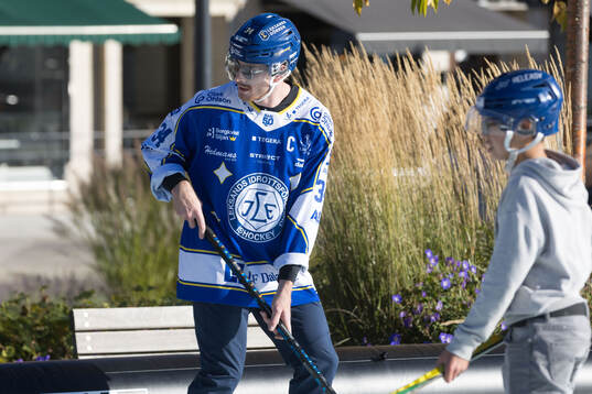 Leksands Peter Cehlarik