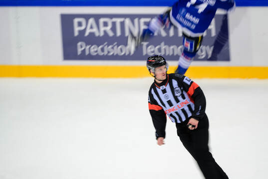 Domare Stefan Leijonklo