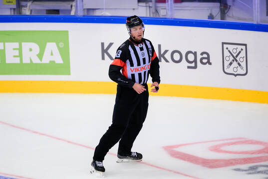 Domare Robin Forslund