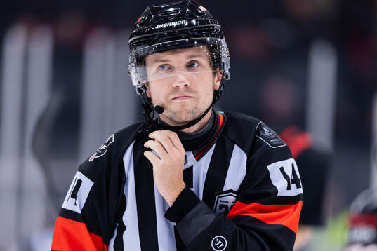 Domare Edvard Lindström